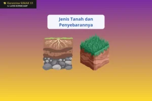 Jenis Tanah dan Penyebarannya di Indonesia